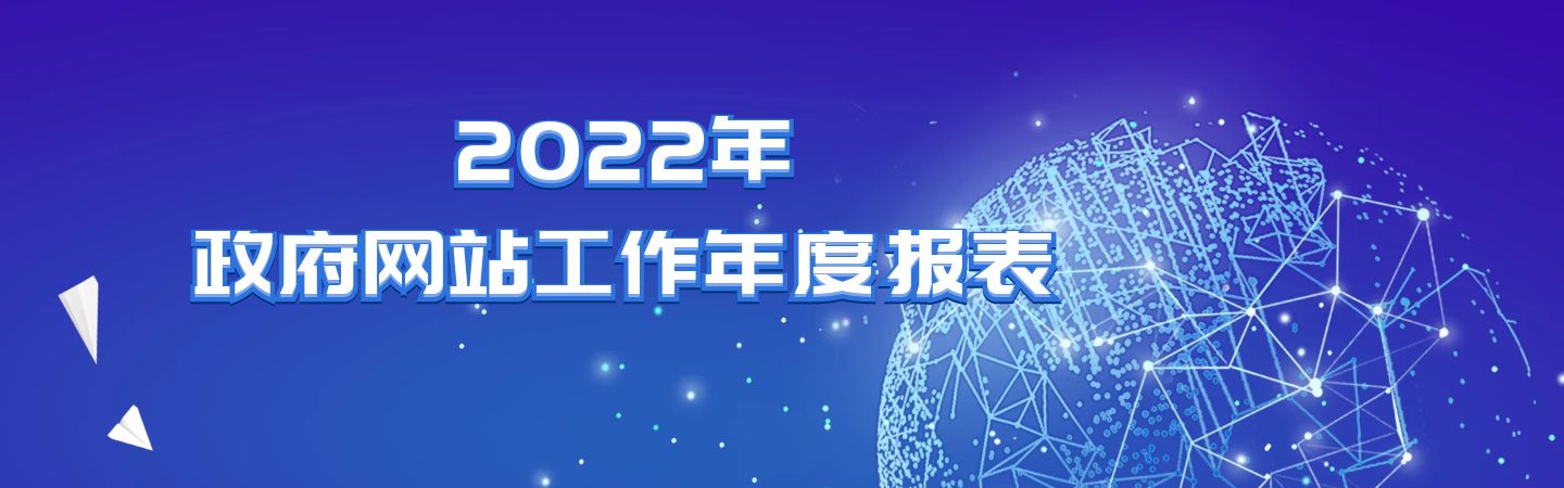 2022三亚市人民政府网站工作年度报表